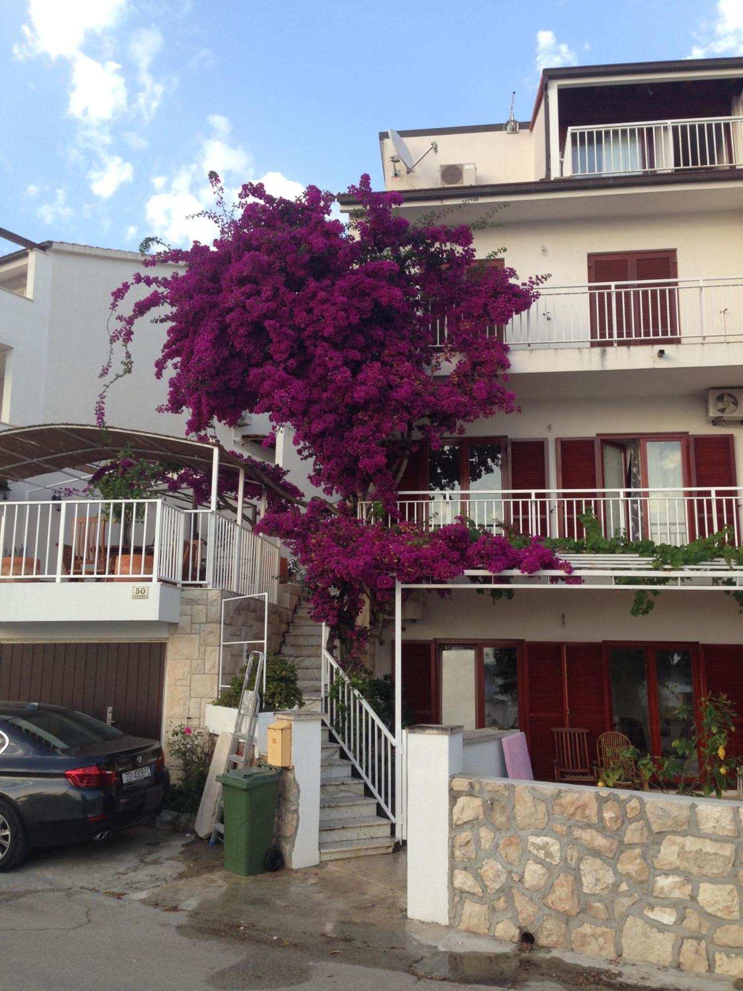 Apartment Duda Hvar Town Exteriör bild